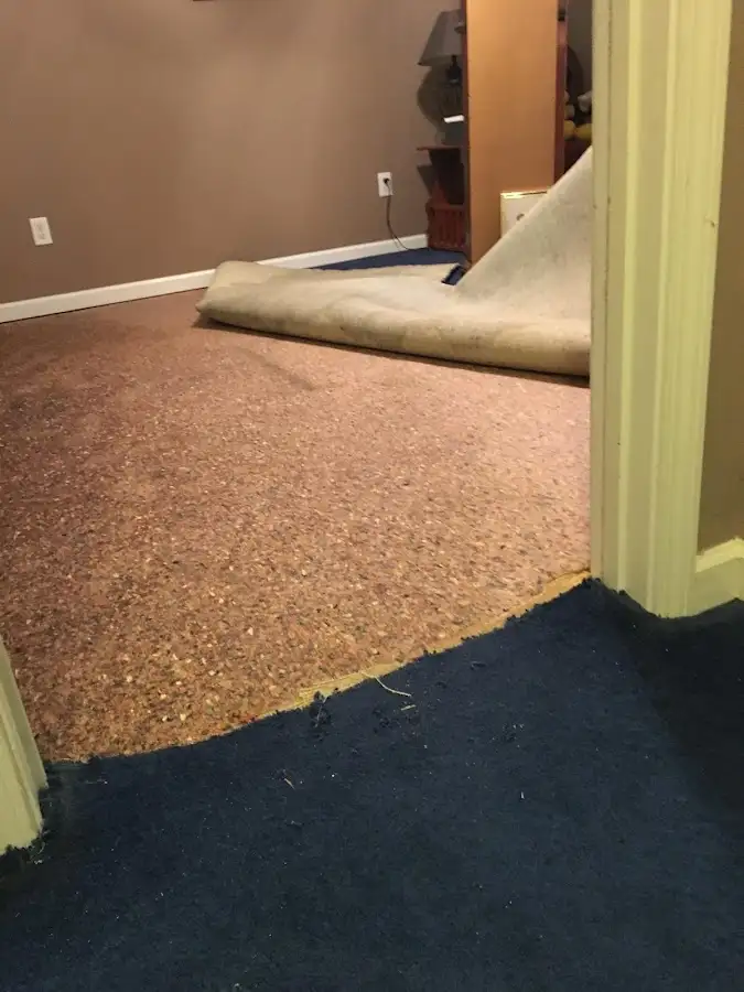 Carpet pad removal revealing water damage during Drying & Dehumidification in Pearsall