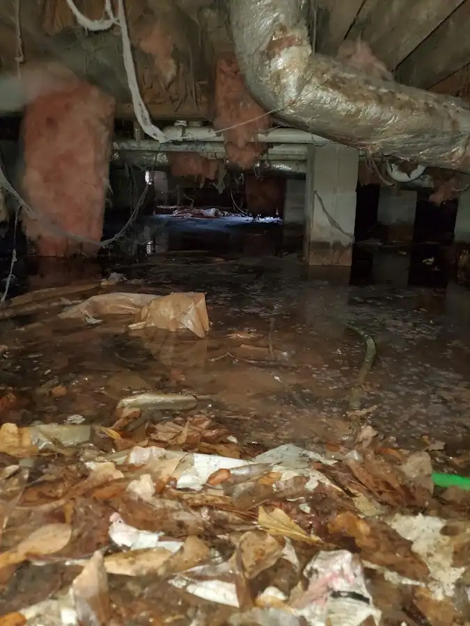 Crawl space flood assessment for Commercial Water Damage Restoration in Pearsall