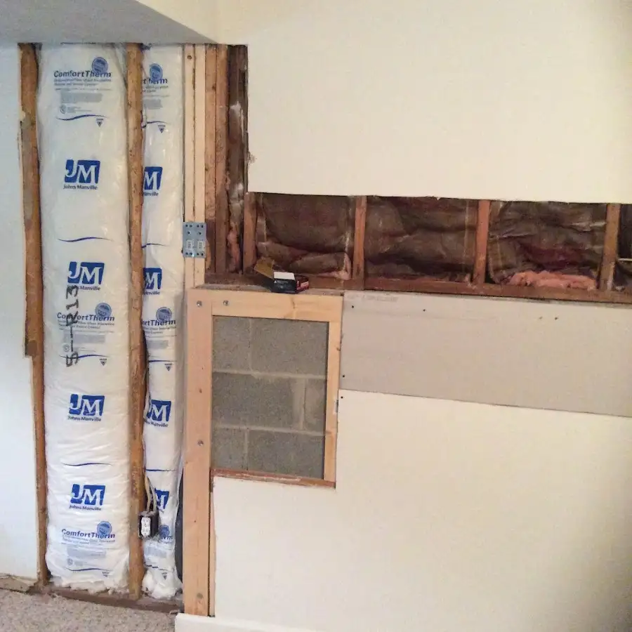 Wall insulation replacement during Odor Removal & Deodorization in Pearsall